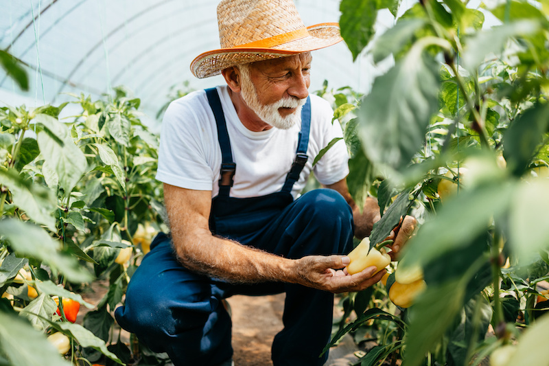 Happy and smiling senior man working in garden.