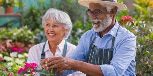 Gardening for Seniors: Cultivating Health and Joy Easily